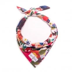 Lucy & Co.: Rosa Bandana