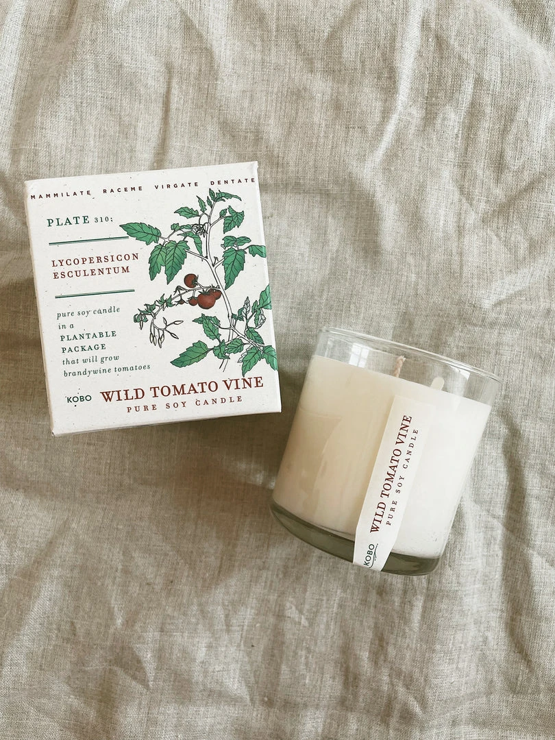 KOBO PTB Collection Wild Tomato Vine Candle 3 KOBO PTB Collection Wild Tomato Vine Candle