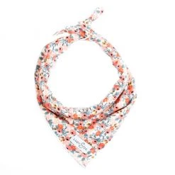 Lucy & Co.: Moose Bandana