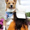 Lucy & Co.: Dog Mom Hat