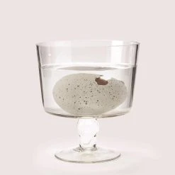 Two's Company Mystery Growing Dino In Egg