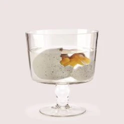 Two's Company Mystery Growing Dino In Egg