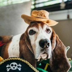 P.L.A.Y. Pet Lifestyle And You Sheriff Hat Dog Toy