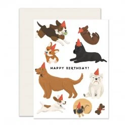 Slightly Stationery Dogs Birthday Card Slightly Stationary
