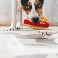 P.L.A.Y. Pet Lifestyle And You Hot Dog Dog Toy 4th Of July Weekend 10 P.L.A.Y. Pet Lifestyle And You Hot Dog Dog Toy 4th Of July Weekend
