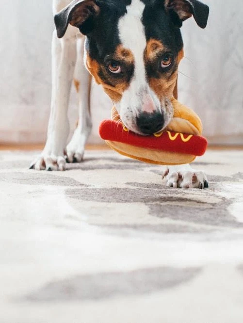 P.L.A.Y. Pet Lifestyle And You Hot Dog Dog Toy 4th Of July Weekend 6 P.L.A.Y. Pet Lifestyle And You Hot Dog Dog Toy 4th Of July Weekend