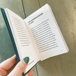 Chronicle Books Gifts For Him The Undeachiever's Manifesto