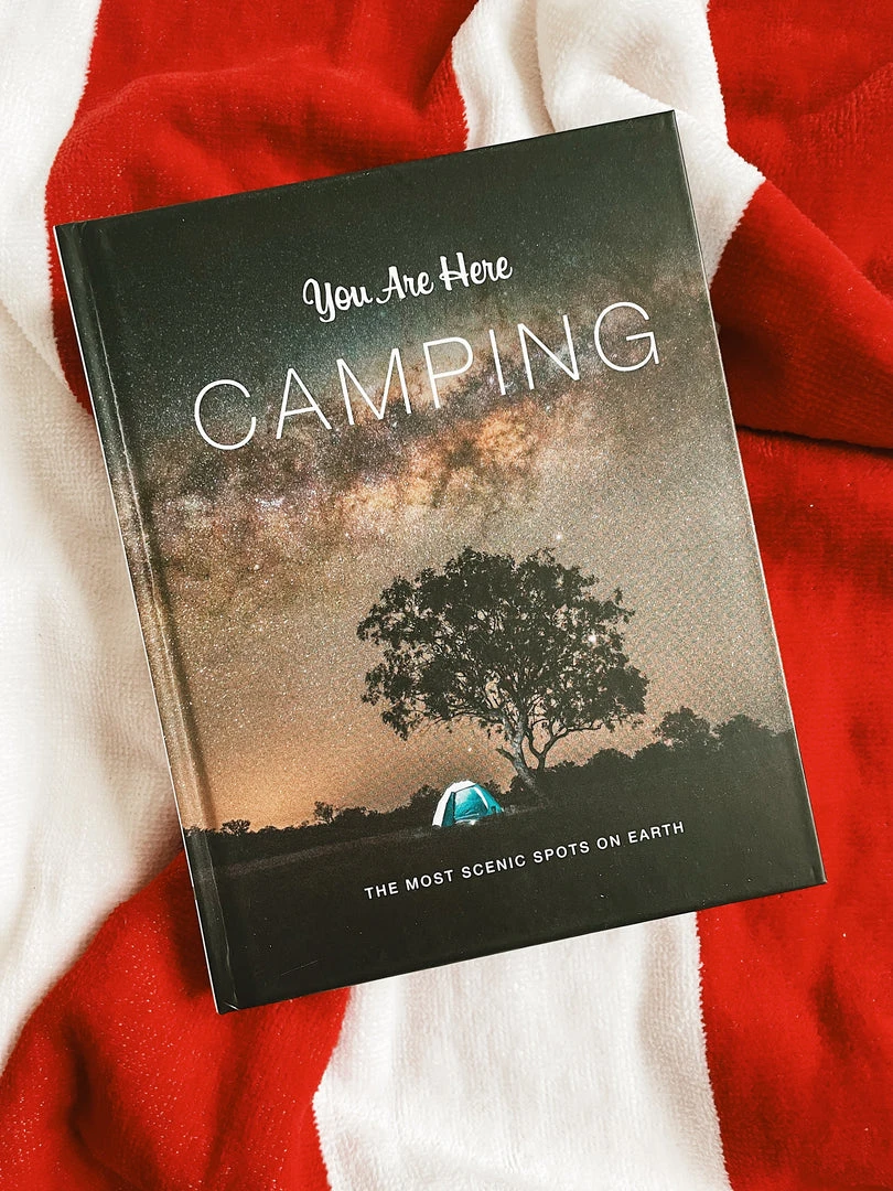 Chronicle Books You Are Here: Camping Lake 3 Chronicle Books You Are Here: Camping Lake