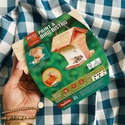 Toysmith Paint A Bird Bistro Kids + Baby