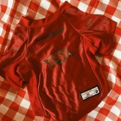 Little Earth Productions Arkansas Razorbacks Pet Stretch Jersey - Medium