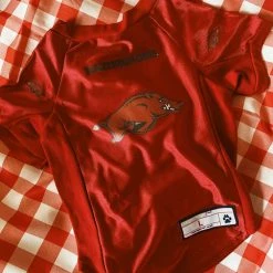 Little Earth Productions Arkansas Razorbacks Pet Stretch Jersey - Large