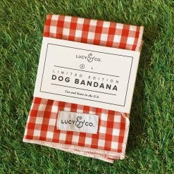 Lucy & Co.: Kennedy Bandana Arkansas Razorbacks