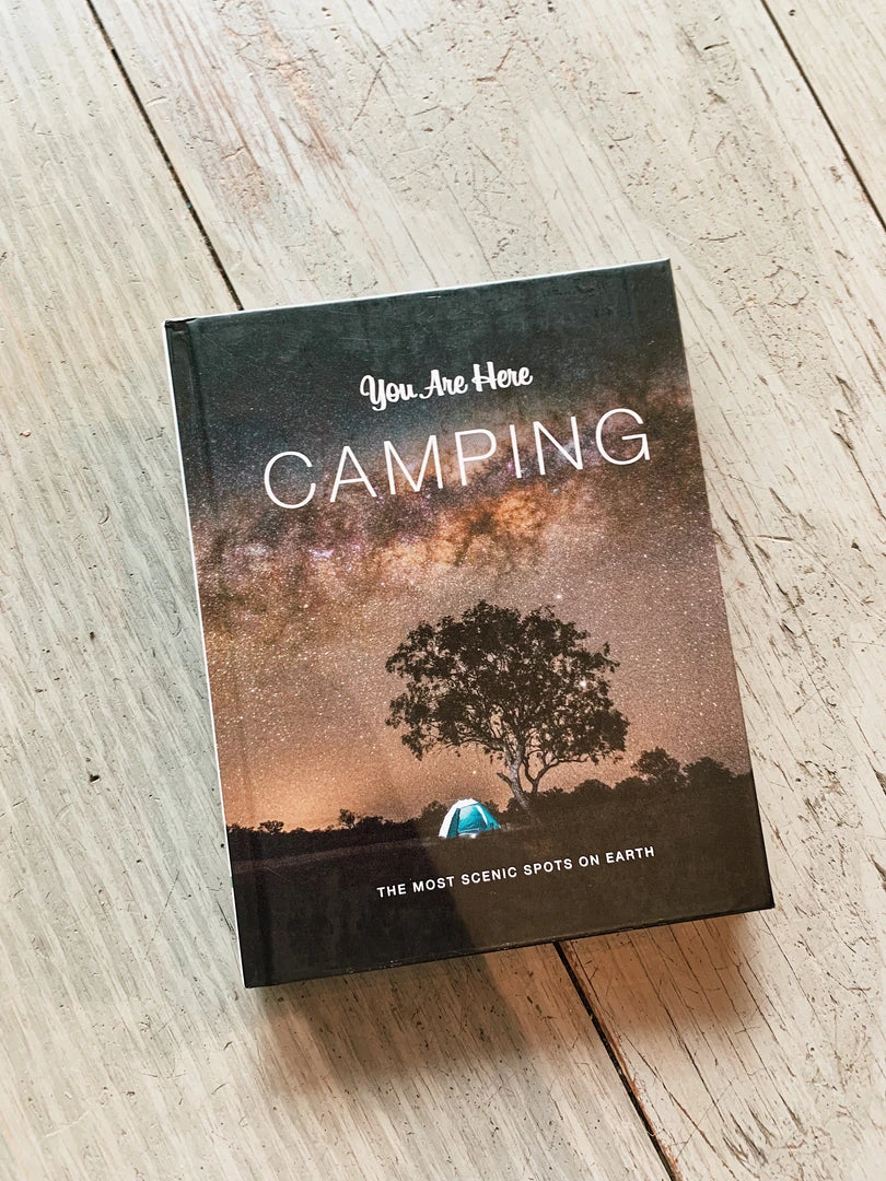Chronicle Books You Are Here: Camping Lake 4 Chronicle Books You Are Here: Camping Lake