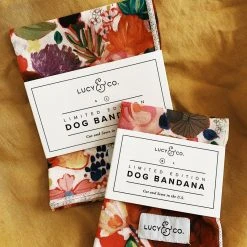 Lucy & Co.: Rosa Bandana
