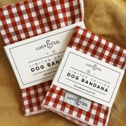 Lucy & Co.: Kennedy Bandana Arkansas Razorbacks