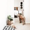 Decor The Foggy Dog: Buffalo Check Plaid Dog Bed