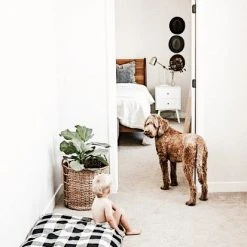 Decor The Foggy Dog: Buffalo Check Plaid Dog Bed