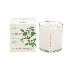 KOBO PTB Collection Wild Tomato Vine Candle