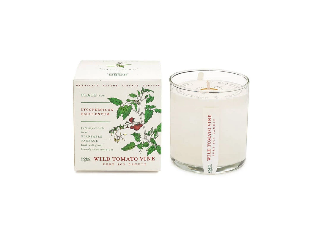 KOBO PTB Collection Wild Tomato Vine Candle 4 KOBO PTB Collection Wild Tomato Vine Candle