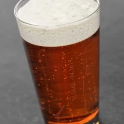 Well Told Fayetteville, AR Map Pint Glass