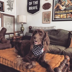 Oxford Pennant: Home Of The Brave Championship Banner