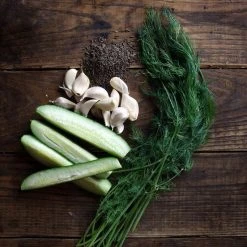 The Real Dill: Caraway Garlic Dill Pickles