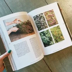 Chronicle Books Cut Flower Garden Gifts Under $30