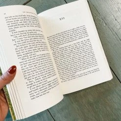 Puffin Random House Adventures Of Huckleberry Finn Books