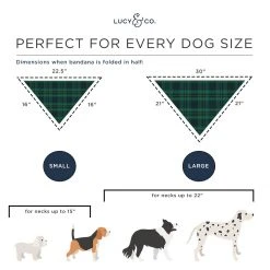 Lucy & Co.: Bandit Bandana