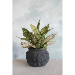 Creative Co-op Decor Black Terracotta Vase With Raised Dots - PICKUP ONLY